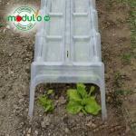 Pflanztunnel Modulo 40 (105 x 39 x 30 cm) – Bild 3