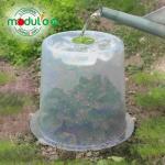 Pflanzglocke Ø 35 x H 30 cm inkl. 2 Heringe – Bild 3