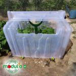 Pflanztunnel Modulo 60 (79 x 59 x 50 cm) – Bild 3