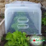 Endkappen für Pflanztunnel Modulo 40 2er Set – Bild 2