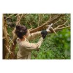 STIHL - GTA 30 im Set - 2x AS 2 + AL 5.2 + Koffer – Bild 3