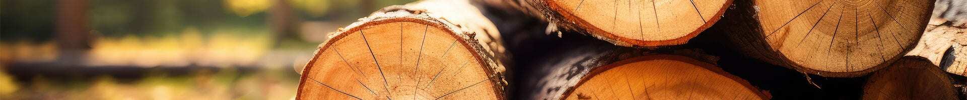 Holzstämme, Ab ins Holz, Holzstapel, Kopfbild