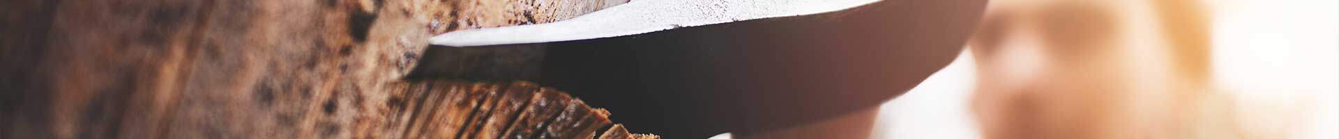 Axt im Baum, Baumschlag!