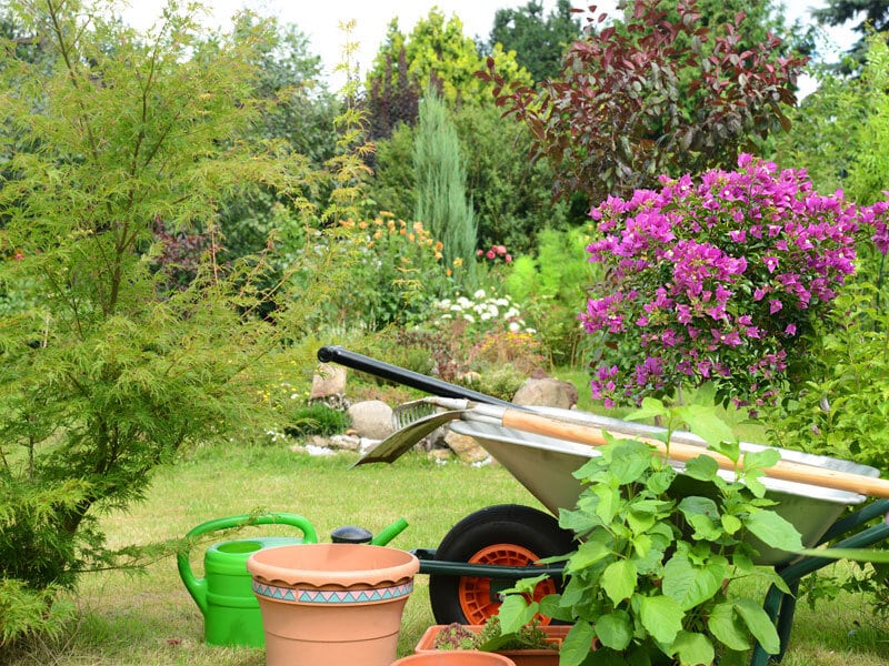 Garten im Juni