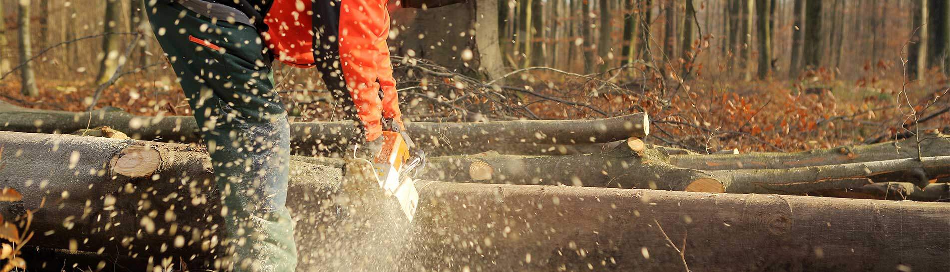 Mann im Wald / Slider Startseite Brillen / Augenschutz