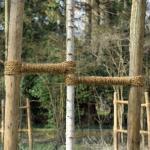 Kokosstrick Profi Baumanbinder Kokosgarn ca. Länge / Stärke 140m / 8mm / 2-fach – Bild 2