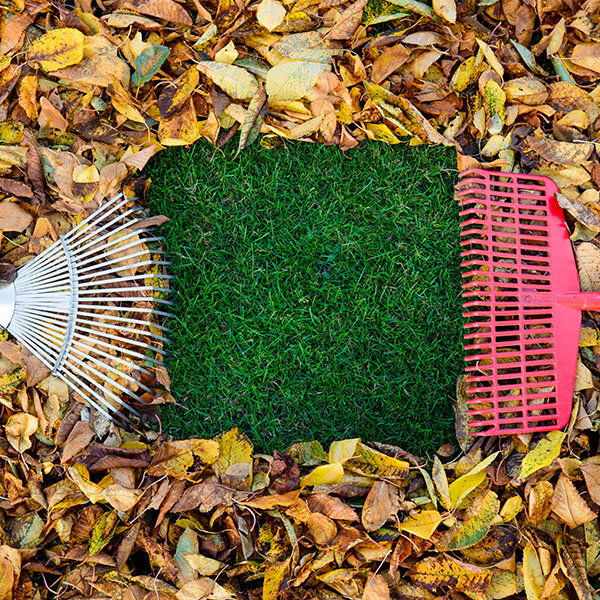 Mach mal sauber » Garten&Flamme