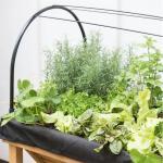 VegTrug® Wallhugger Hochbeet Set S 96x77x46 cm Farbe Natur – Bild 6