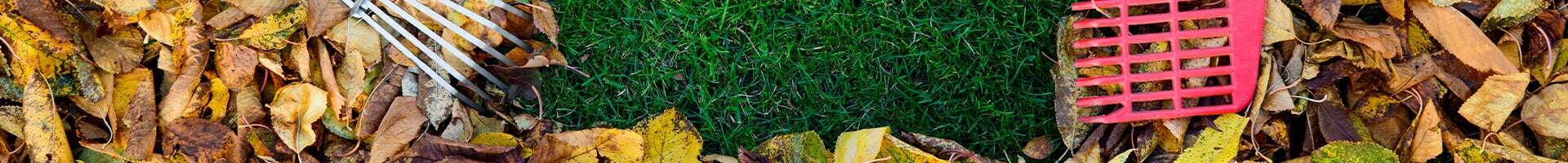 Opraumen, Reken, Blieder, Botzen, Headerbild